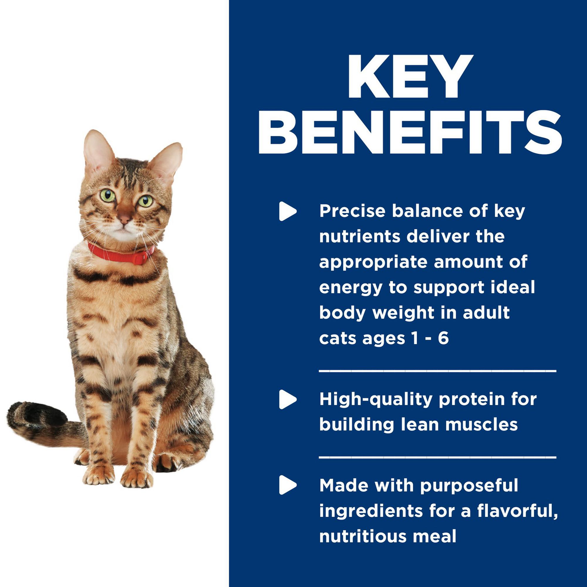 Hill's® Science Diet® Healthy Cuisine Adult Wet Cat Food - Medley, Chicken & Rice - Image 7