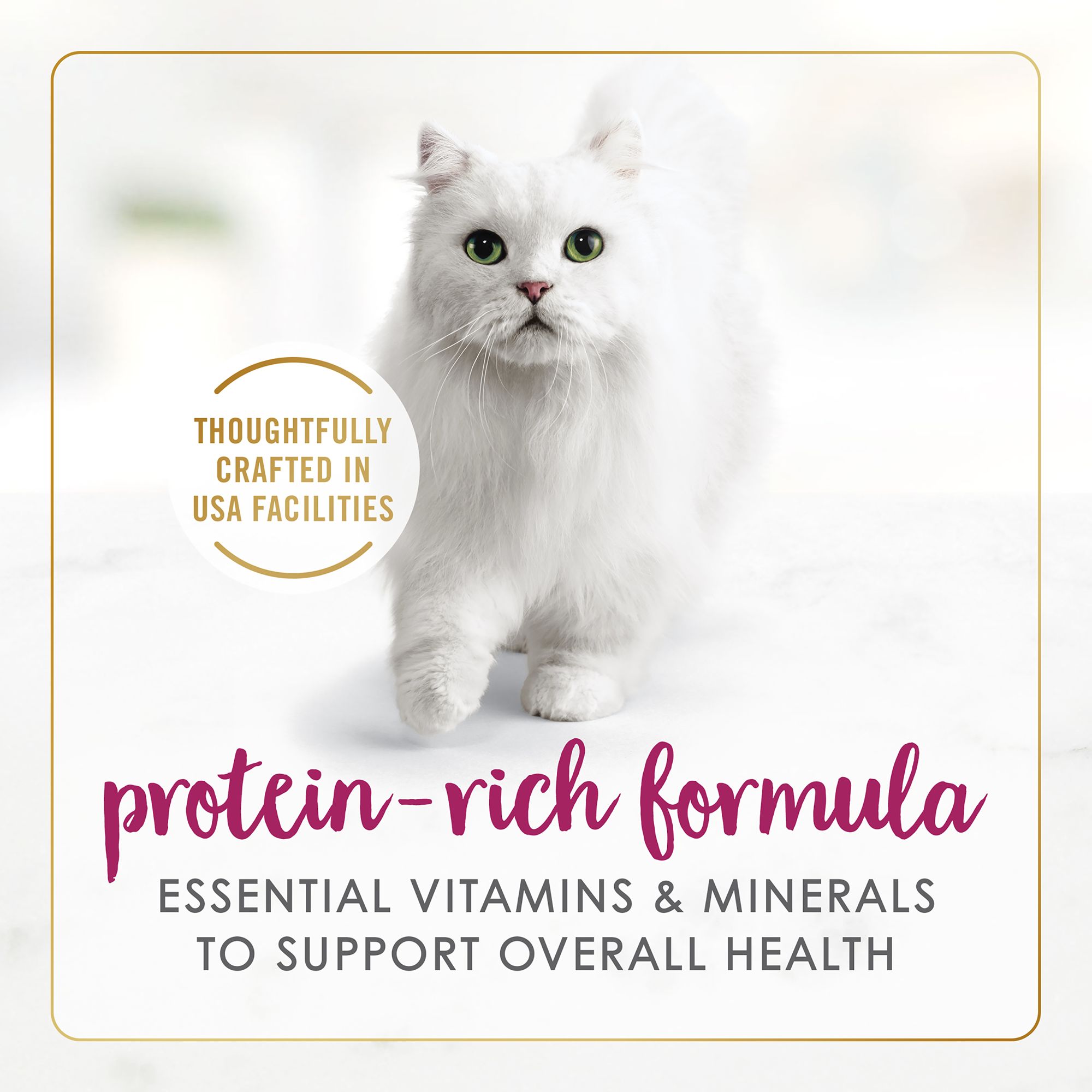 Fancy Feast® Delights with Cheddar All Life Stages Cat Wet Food - Chicken & Cheddar - Image 4