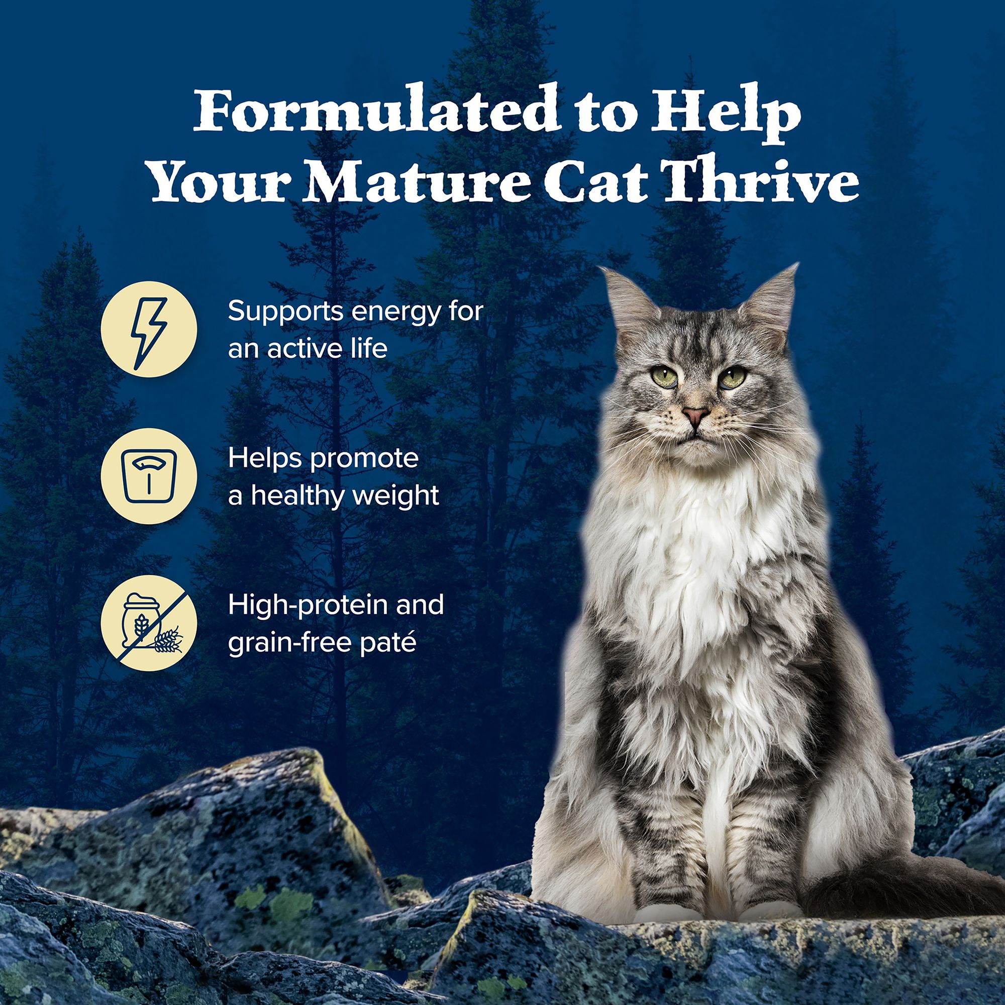 Blue Buffalo® Wilderness&trade;  Senior Wet Cat Food - Grain Free, Pate, Chicken - Image 5