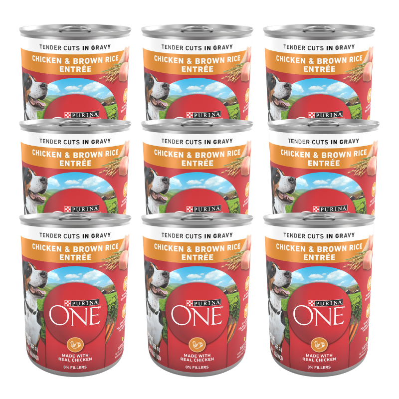 Purina ONE® SmartBlend Everyday Nutrition Adult Dog Wet Food - Natura Chicken & Brown rice Entree - Image 1