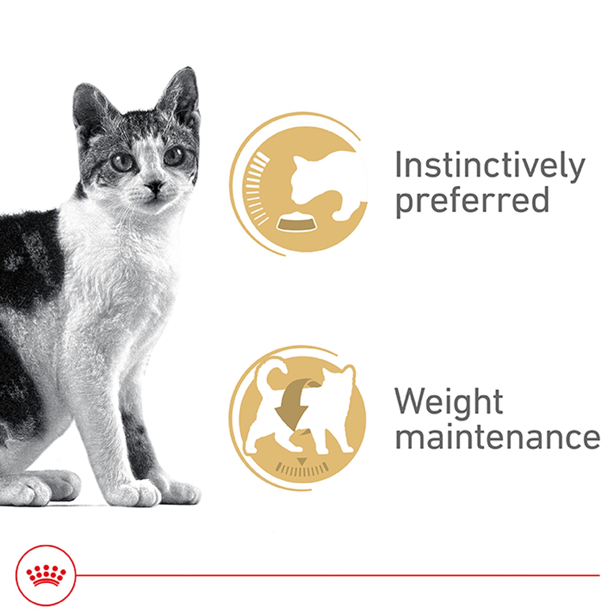 Royal Canin® Feline Health Nutrition Adult Instinctive Wet Cat Food - Thin Slices in Gravy - Image 3