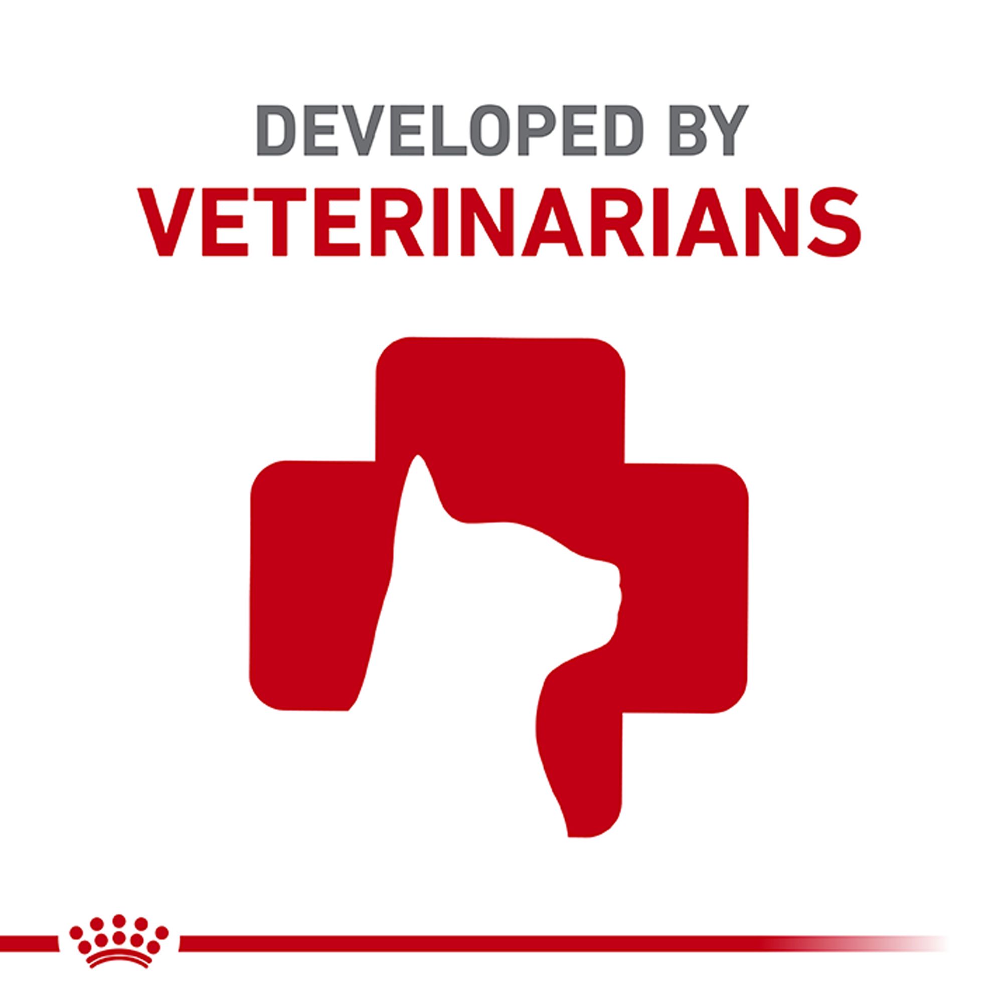 Royal Canin® Feline Health Nutrition Adult Instinctive Wet Cat Food - Thin Slices in Gravy - Image 6