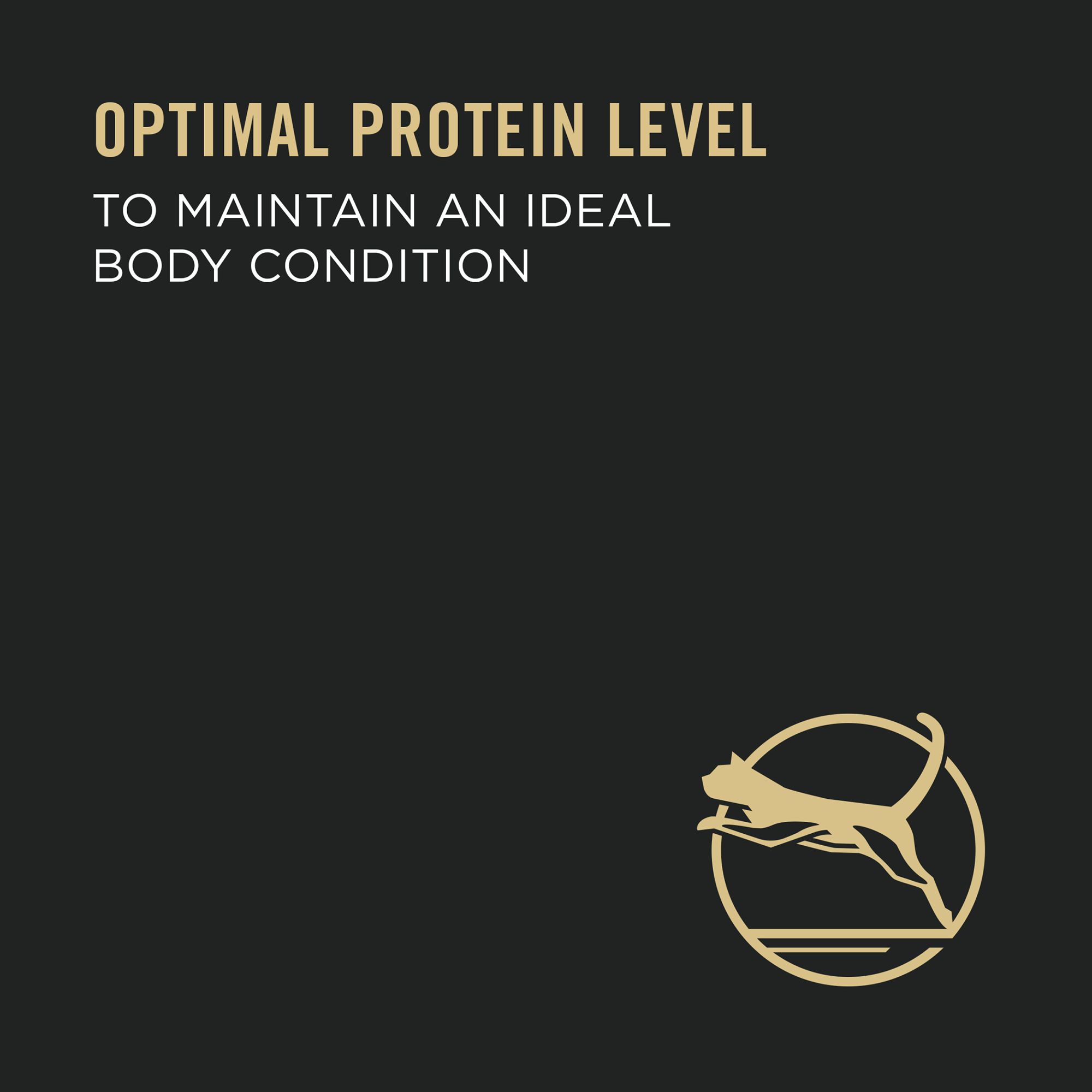 Purina Pro Plan Healthy Metabolism Adult Wet Cat Food - High-Protein, With Vitamins, Chicken - Image 7