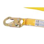 Werner 6 ft. Shock Absorbing Fall Protection Lanyard (C380000W)