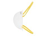 HDX N95 Disposable Adult Respirator Mask (10-Pack) (H950)