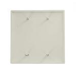 Leviton 2-Gang White Blank Plate Nylon Midway/Midsize Wall Plate (1-Pack) - R52-0PJ23-00W