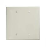 Leviton 2-Gang White Blank Plate Nylon Midway/Midsize Wall Plate (1-Pack) - R52-0PJ23-00W